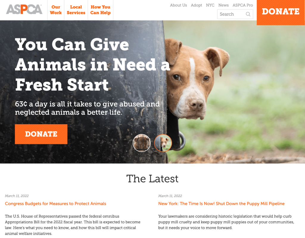 Nonprofit organization, ASPCA, uses consistent branding elements such as colors, text, and logos throughout their website design