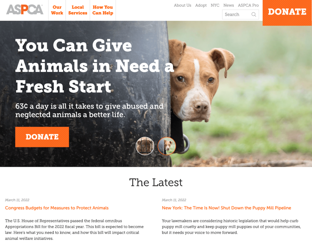 Nonprofit Website Design: Top 15 Best Practices