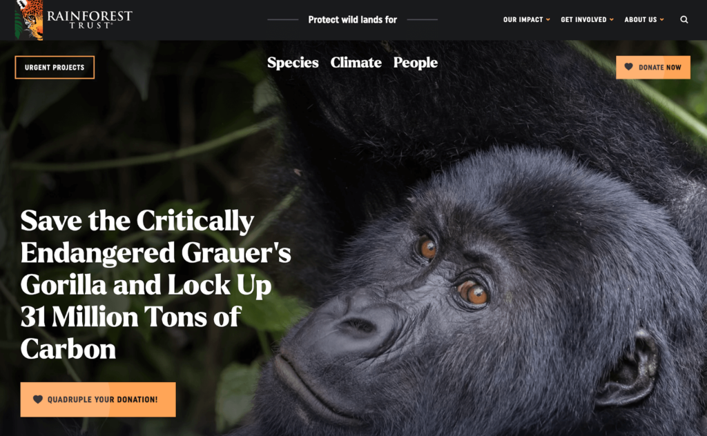Rainforest Trust uses clearly marked donate buttons throughout their nonprofit website design